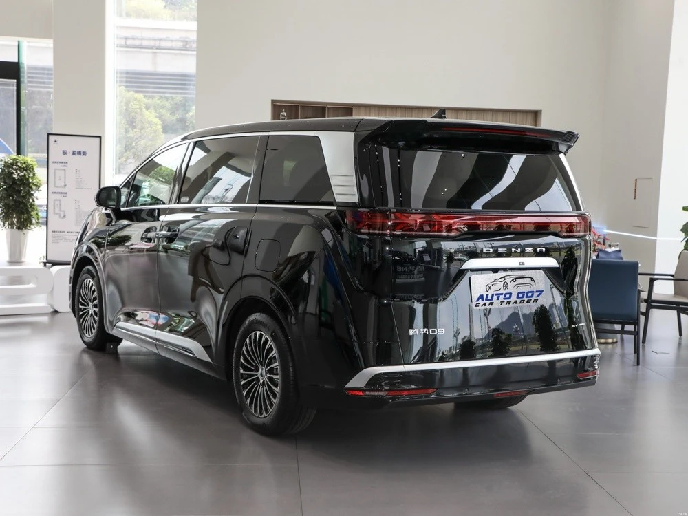 China Denza D9 export